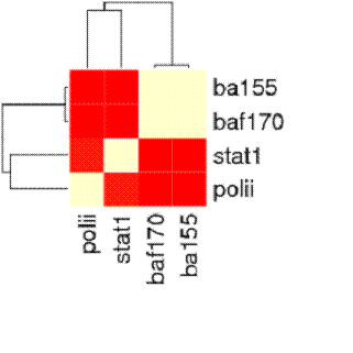 File:Image006.gif