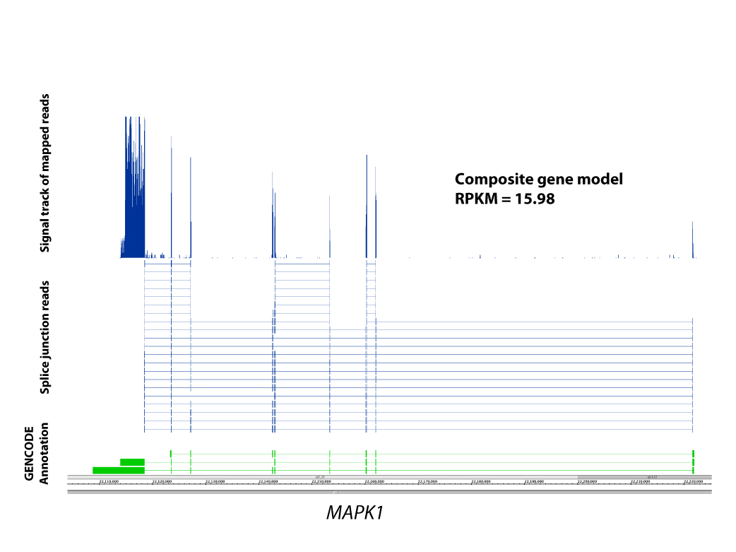Genomic Region