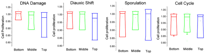 File:Condition specific.jpg