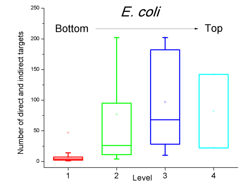 File:Indirect targets position Ecoli.jpg