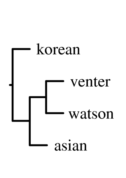 File:Tree.png