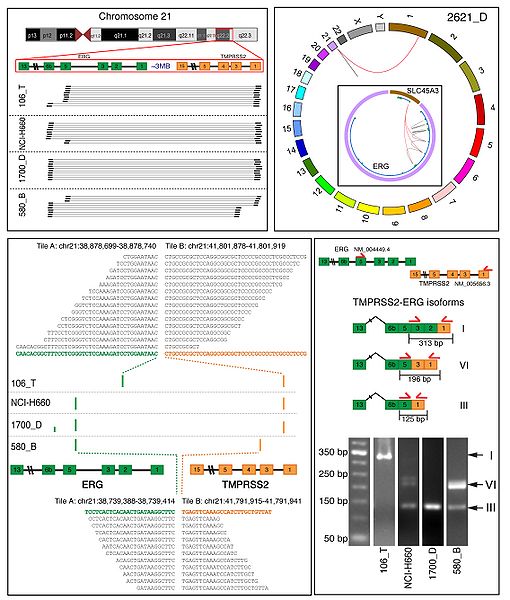 File:FusionSeq results.jpg