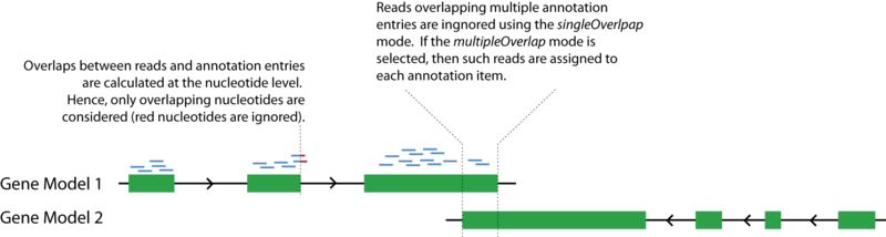 File:MrfQuantifier.png