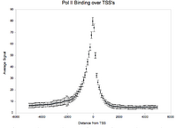 PolII, from whole genome ChIP-seq