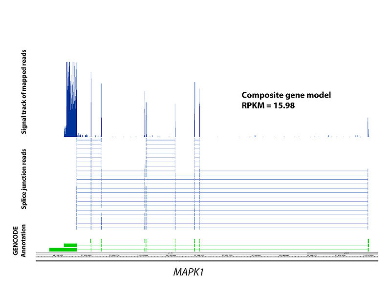 File:GenomicRegion.jpg